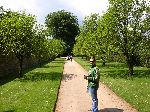 2006-0607-1257-00.jpg